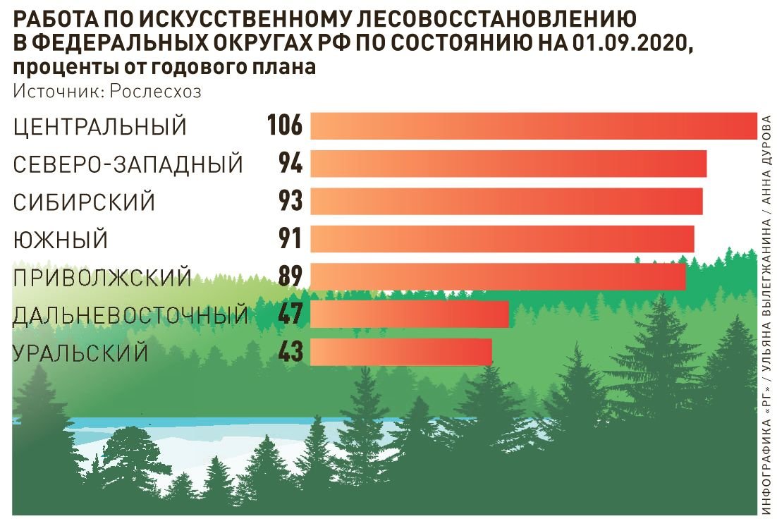 Кто занимается разработкой проектов лесовосстановления